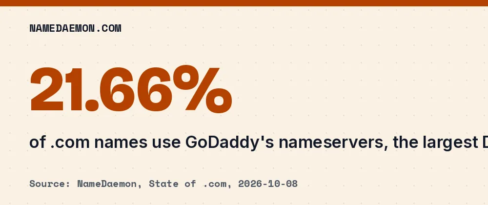 Who Runs the .com Internet? Top DNS Providers
