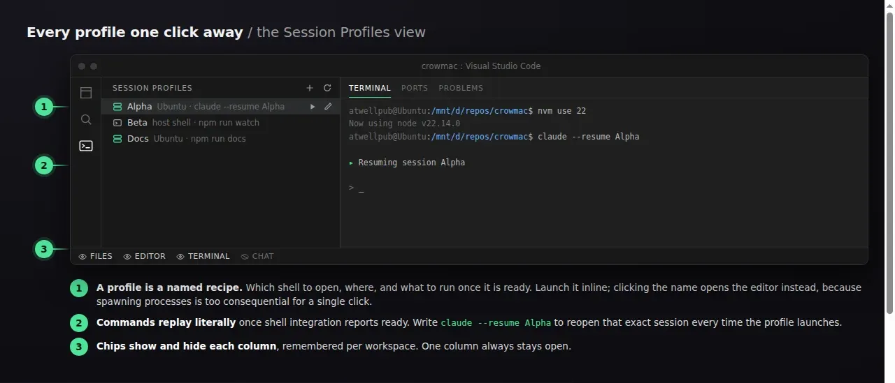 The Session Profiles view, with a profile launching an agent in the terminal column