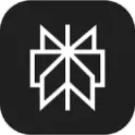 WordPress Perplexity Plugin icon
