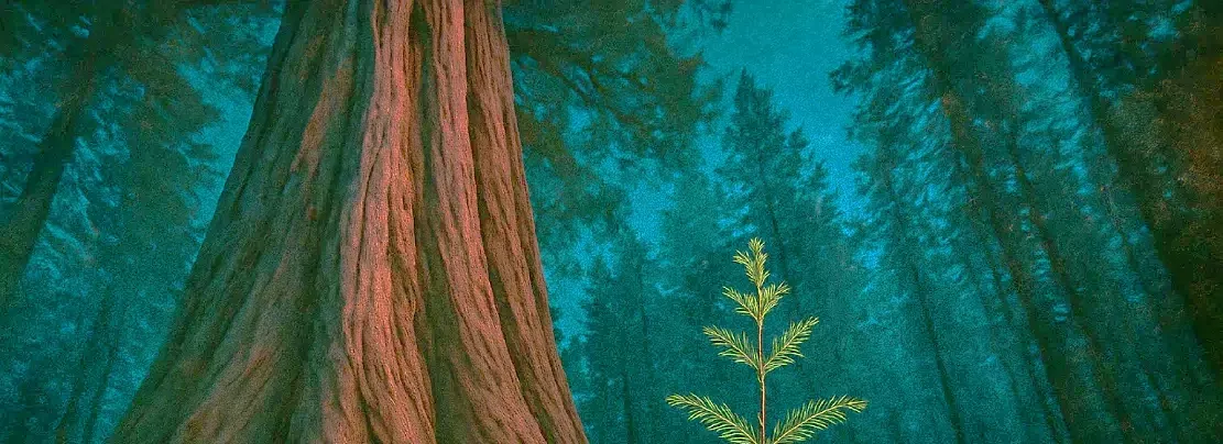 Every Tree is a Pipe Dream: Helping Ideas to Grow